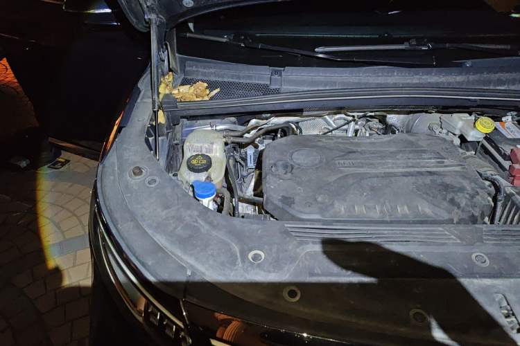 Used Roewe iMAX8 2021 400TGI Supreme Series Prestige Edition Engine Bay Right