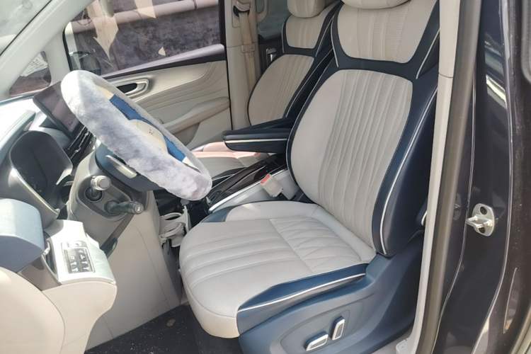 Used Roewe iMAX8 2021 400TGI Supreme Series Prestige Edition Left Front Seat