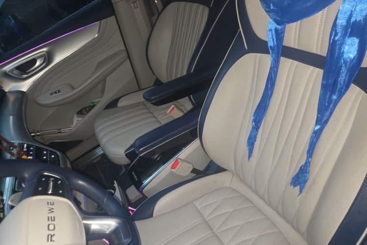 Used Roewe iMAX8 2021 400TGI Supreme Series Prestige Edition Left Front Seat