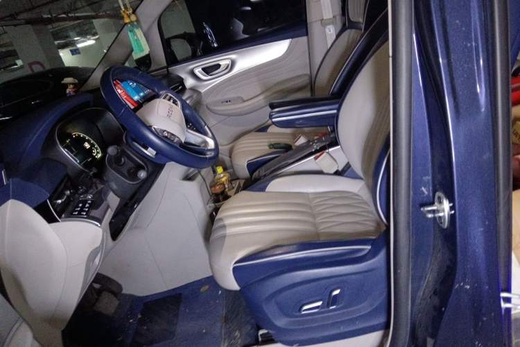 Used Roewe iMAX8 2021 400TGI Supreme Series Prestige Edition Left Front Seat