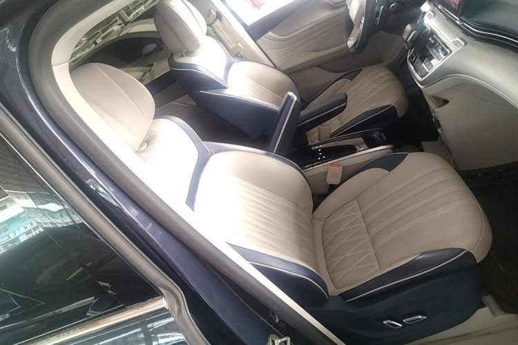 Used Roewe iMAX8 2021 400TGI Supreme Series Prestige Edition Right Front Seat