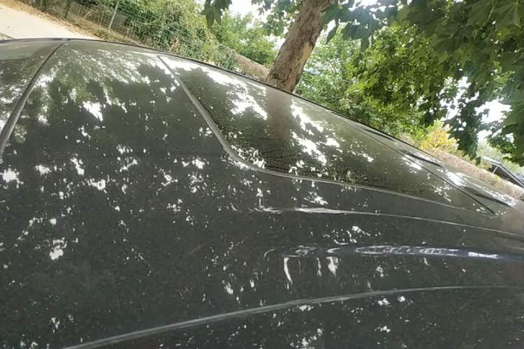 Used Roewe iMAX8 2021 400TGI Supreme Series Prestige Edition Roof