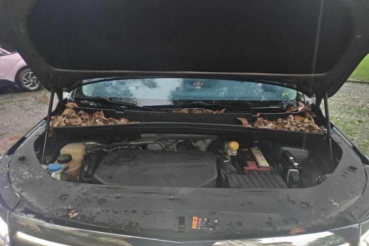 Used Roewe iMAX8 2021 400TGI Supreme Series Ultimate Edition Engine Bay