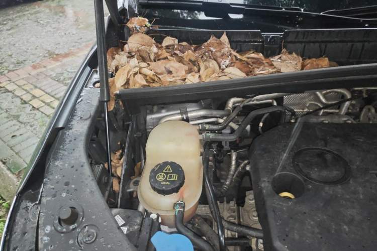Used Roewe iMAX8 2021 400TGI Supreme Series Ultimate Edition Engine Bay Right