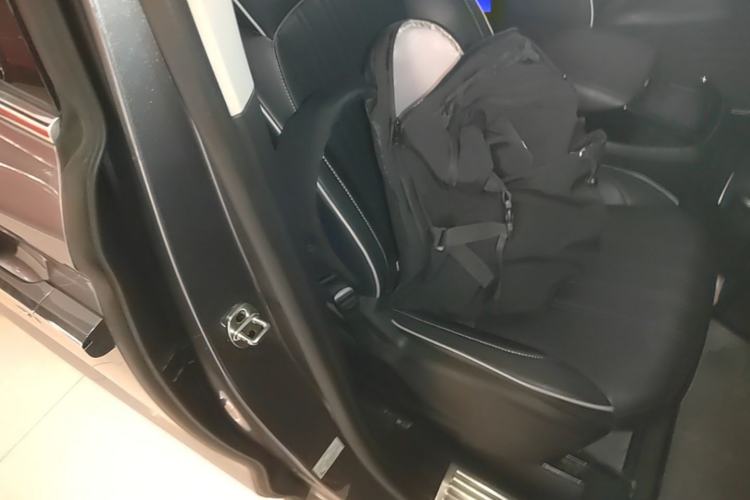 Used Roewe iMAX8 2021 400TGI Flagship Edition Right Front Seat
