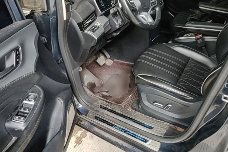 Used Roewe iMAX8 2021 400TGI Supreme Series Lu Zun Edition Driver Seat