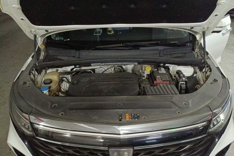 Used Roewe iMAX8 2021 400TGI Supreme Series Lu Zun Edition Engine Bay