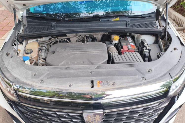 Used Roewe iMAX8 2021 400TGI Supreme Series Prestige Edition Engine Bay