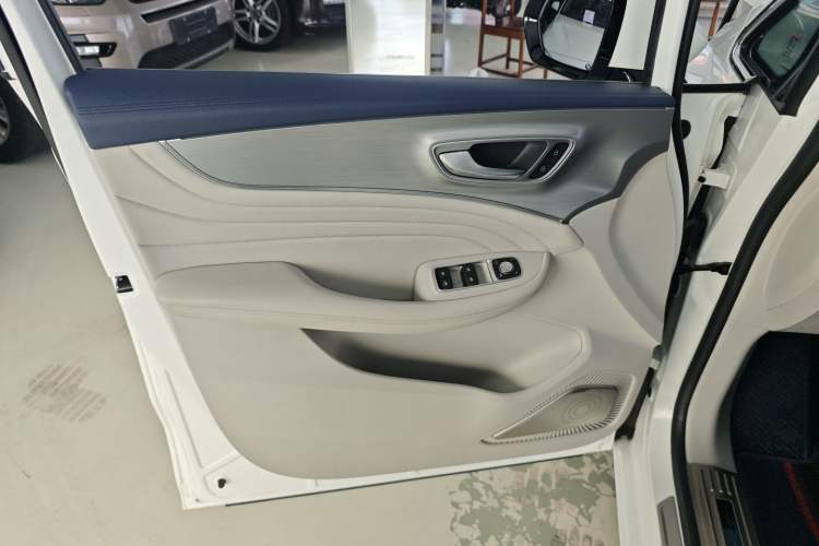 Used Roewe iMAX8 2021 400TGI Supreme Series Ultimate Edition Left Front Door Interior