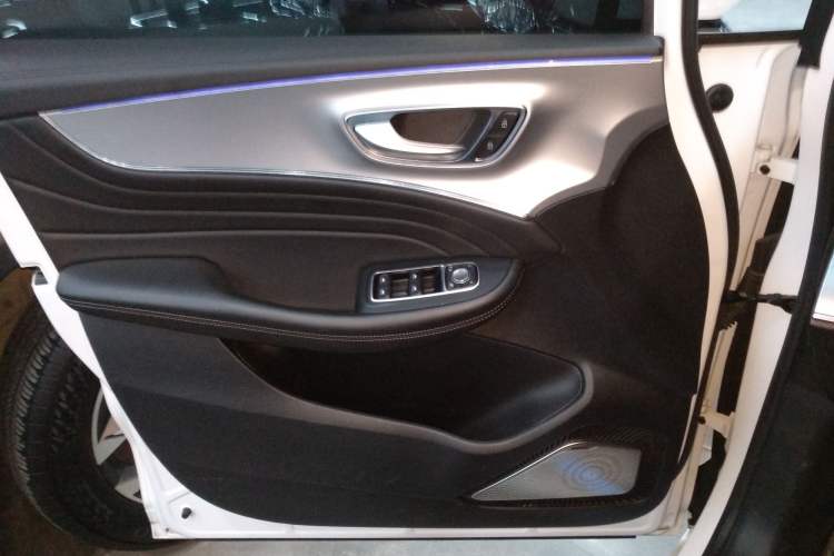 Used Roewe iMAX8 2021 400TGI Supreme Series Lu Zun Edition Left Front Door Interior