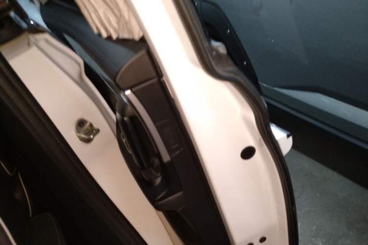 Used Roewe iMAX8 2021 400TGI Supreme Series Lu Zun Edition Left Rear Door Interior
