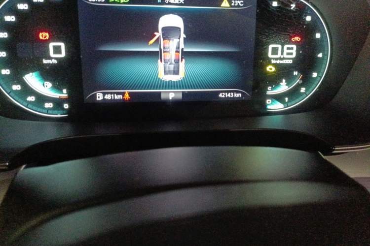 Used Roewe iMAX8 2021 400TGI Supreme Series Lu Zun Edition Odometer Close Up