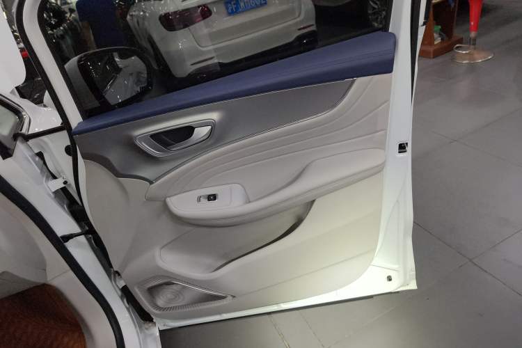 Used Roewe iMAX8 2021 400TGI Supreme Series Ultimate Edition Right Front Door Interior