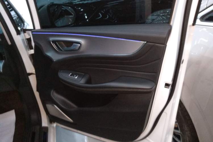 Used Roewe iMAX8 2021 400TGI Supreme Series Lu Zun Edition Right Front Door Interior