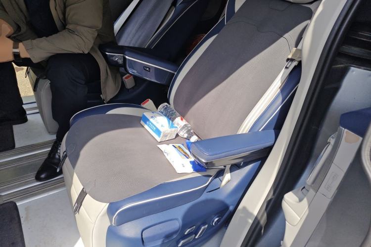 Used Roewe iMAX8 2022 400TGI Prestige Edition Left Rear Seat