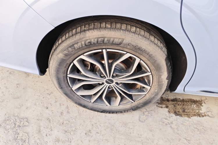 Used Roewe iMAX8 New Energy 2022 First-Class Platinum Edition Exterior 8