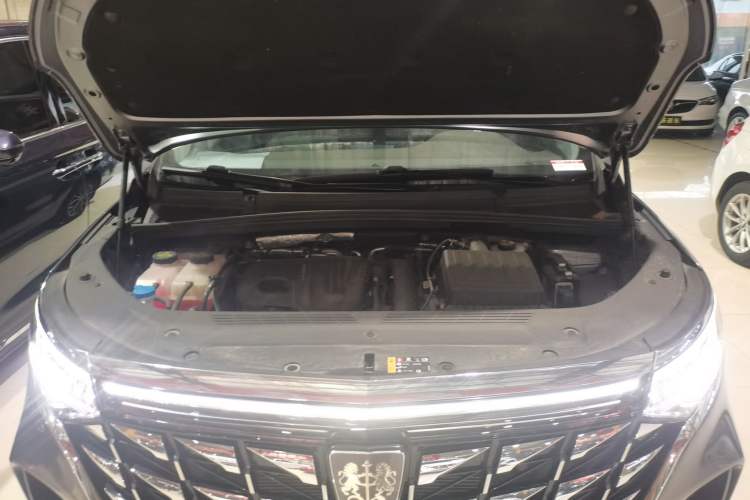 Used Roewe iMAX8 New Energy 2025 1.5T DMH Lu Zun Deluxe Edition Engine Bay
