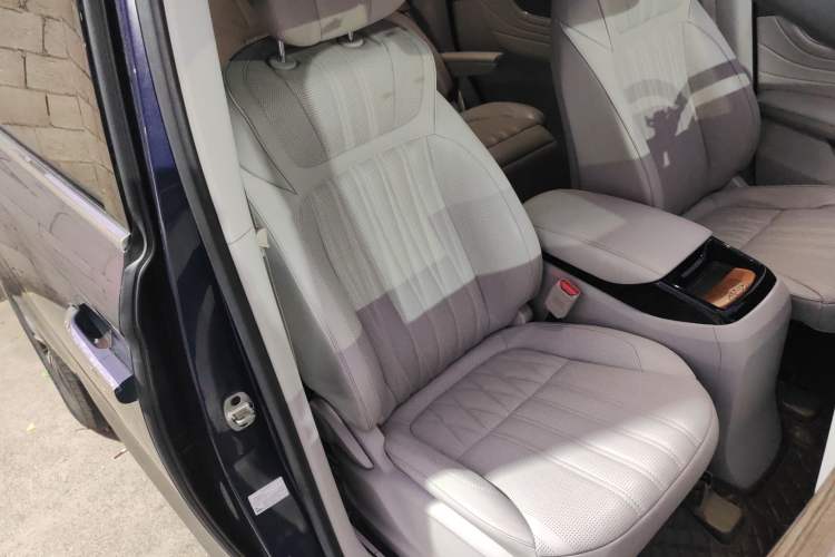 Used Roewe iMAX8 New Energy 2022 Golden Edition Right Front Seat