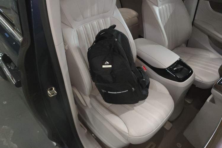 Used Roewe iMAX8 New Energy 2022 Golden Edition Right Front Seat
