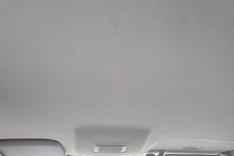 Used Roewe iMAX8 New Energy 2022 Silver Edition Headliner