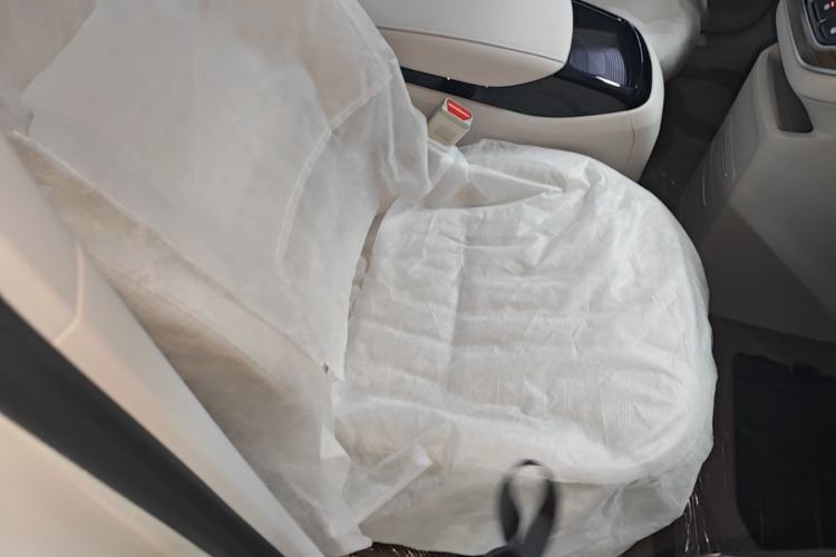 Used Roewe iMAX8 New Energy 2022 Golden Edition Right Front Seat