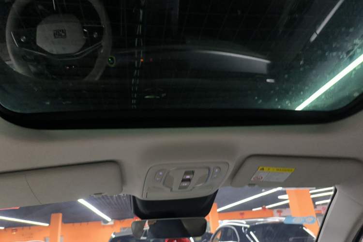Used Roewe Jing 2022 2.0T Blue Whale Edition Headliner