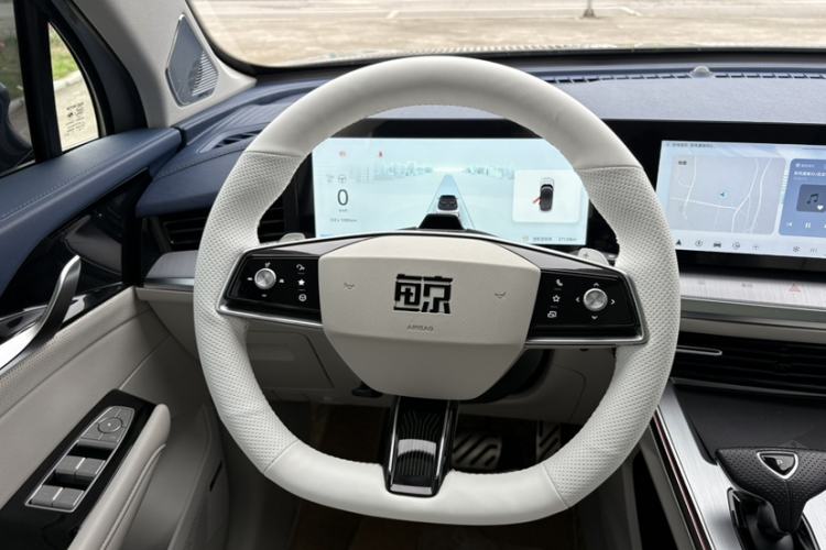 Used Roewe Jing 2022 2.0T Blue Whale Edition Interior 5
