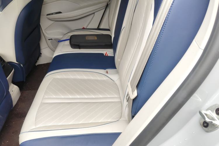 Used Roewe Jing 2022 2.0T Blue Whale Edition Left Rear Seat
