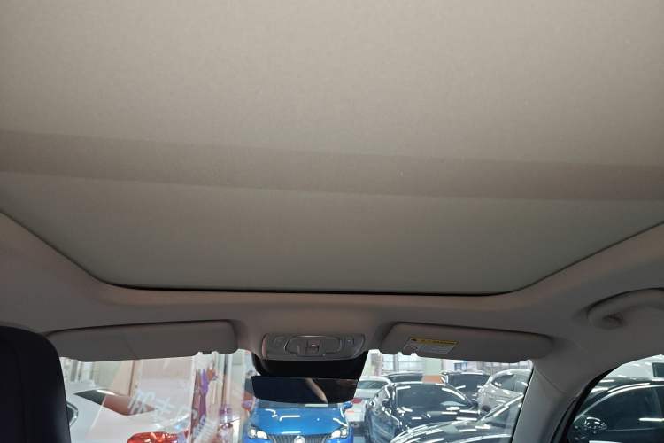 Used Roewe Jing 2022 2.0T Orca Edition Headliner