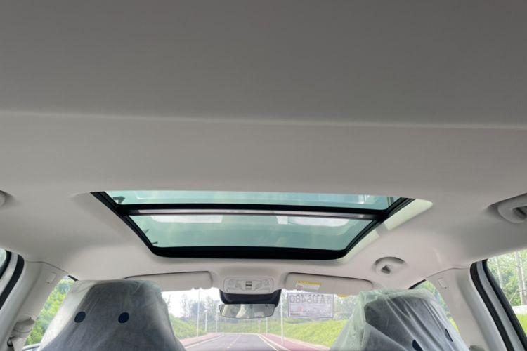 Used Roewe Jing 2022 2.0T Orca Edition Headliner