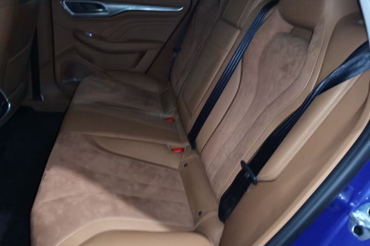 Used Roewe MARVEL X 2018 Rear-Drive Model Left Rear Seat