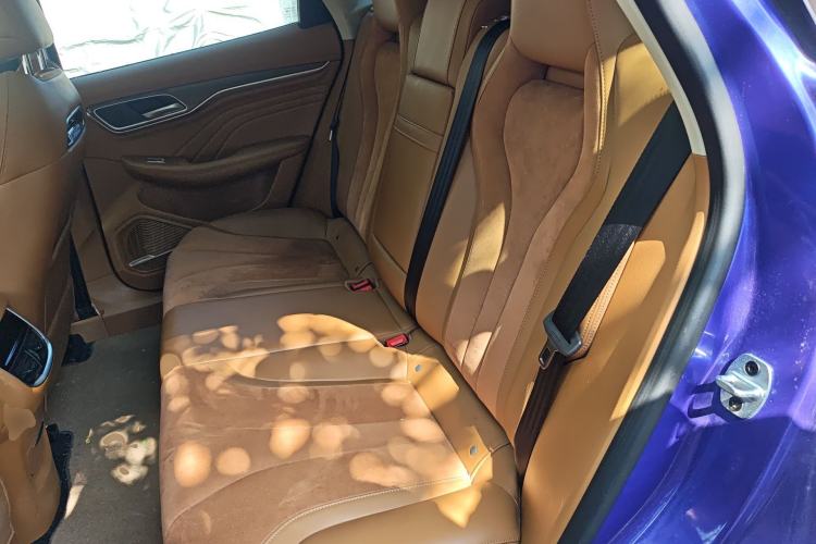 Used Roewe MARVEL X 2018 Rear-Drive Model Left Rear Seat