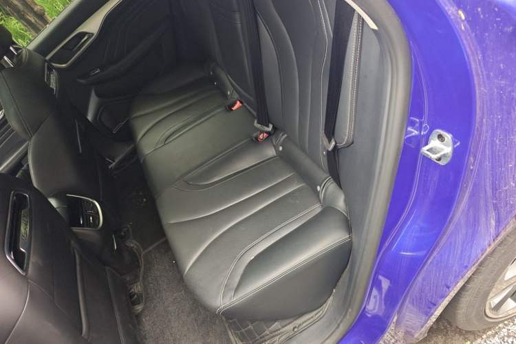 Used Roewe MARVEL X 2018 Rear-Drive Model Left Rear Seat