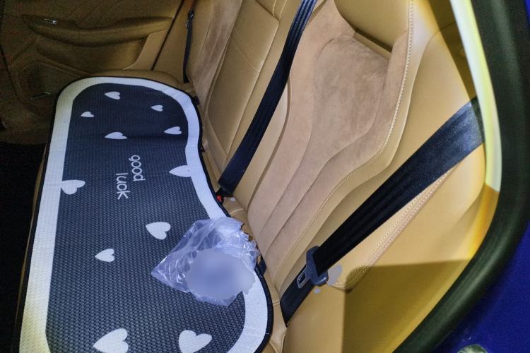 Used Roewe MARVEL X 2018 Rear-Drive Model Left Rear Seat