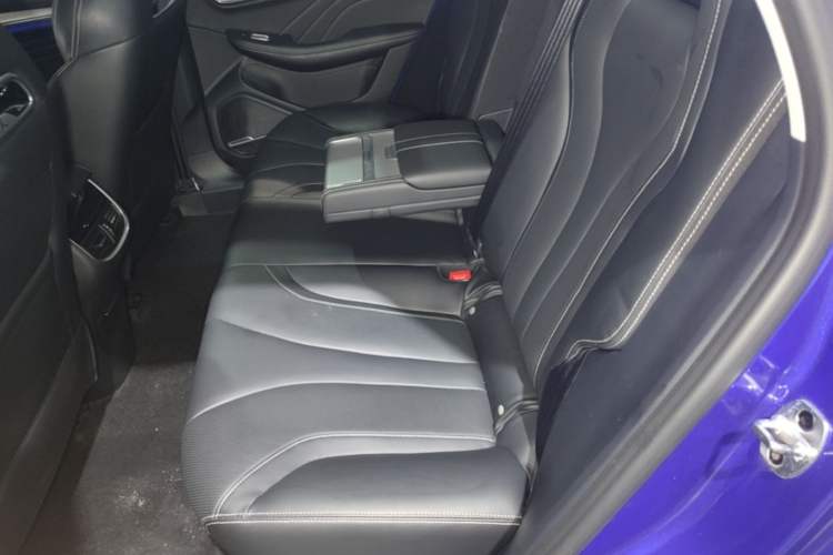 Used Roewe MARVEL X 2018 Rear-Drive Model Left Rear Seat