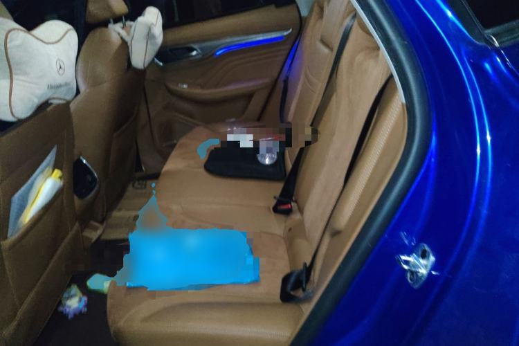 Used Roewe MARVEL X 2018 Rear-Drive Model Left Rear Seat