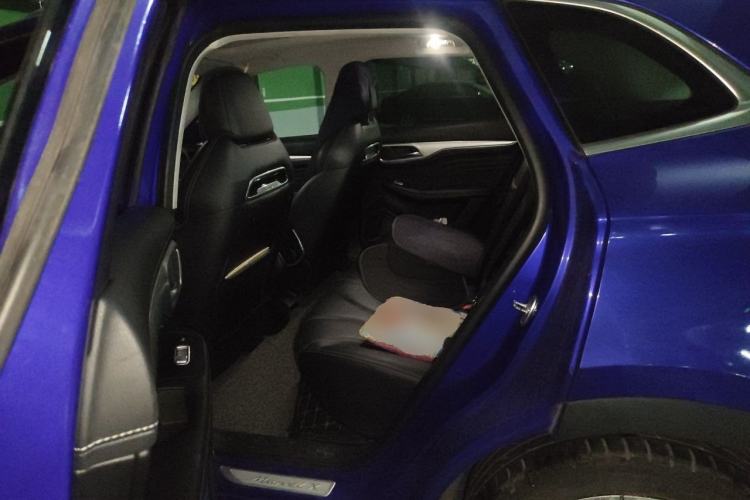 Used Roewe MARVEL X 2018 Rear-Drive Model Left Rear Seat
