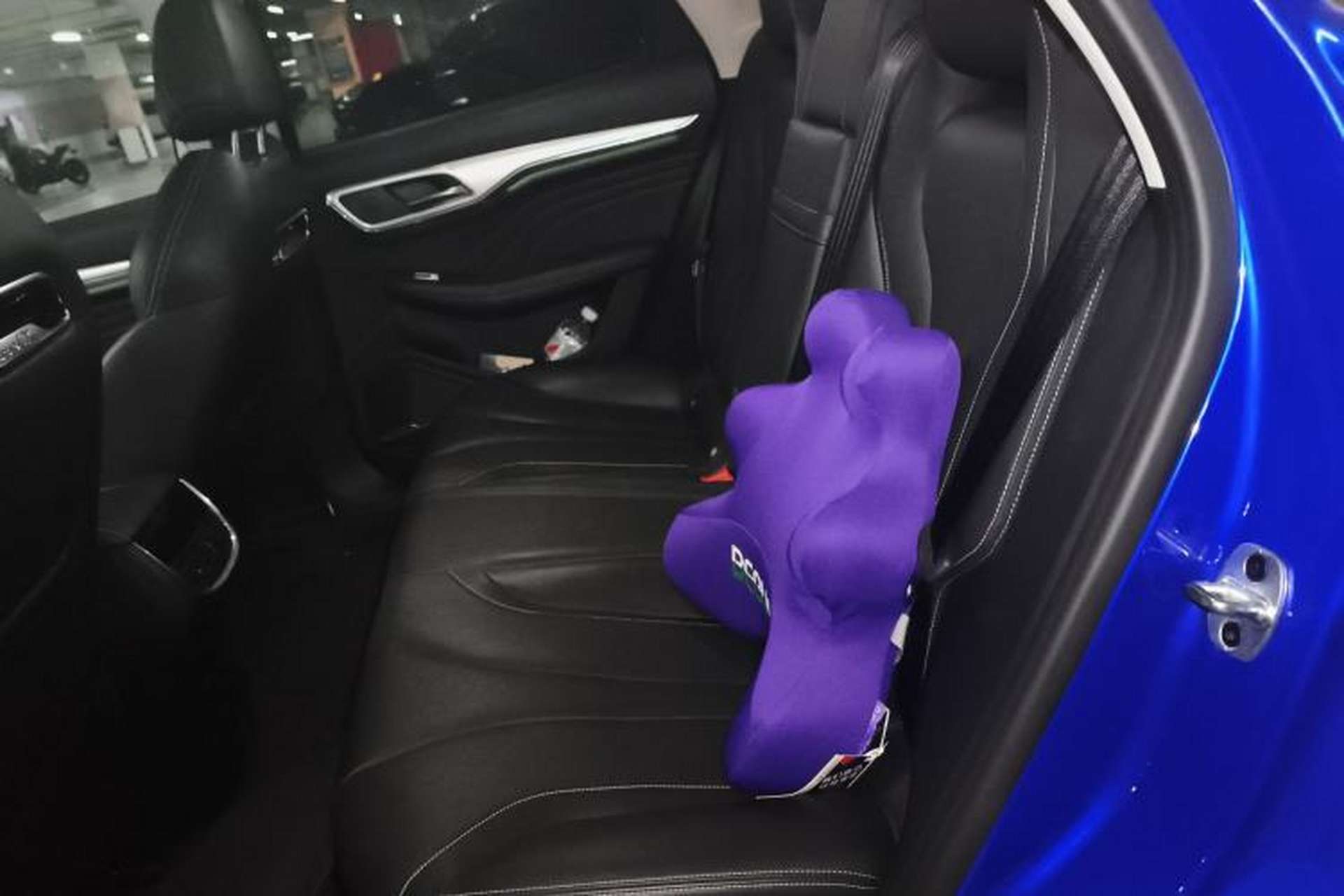 Used Roewe MARVEL X 2018 Rear-Drive Model Left Rear Seat
