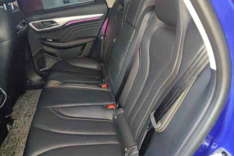 Used Roewe MARVEL X 2018 Rear-Drive Model Left Rear Seat