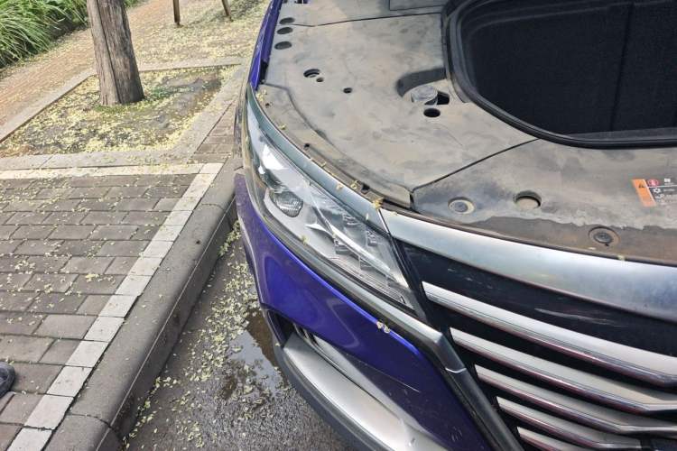Used Roewe MARVEL X 2018 Rear-Drive Model Right Front Headlight