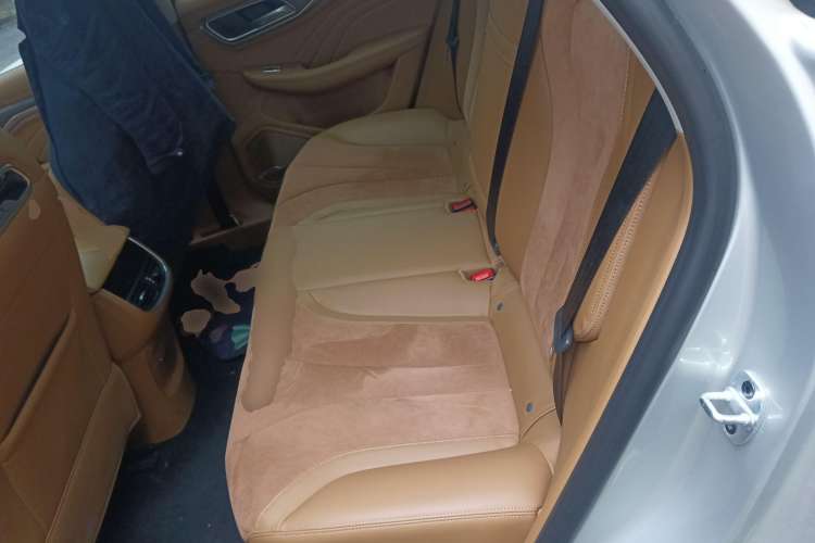 Used Roewe MARVEL X 2018 Rear-Drive Model Left Rear Seat