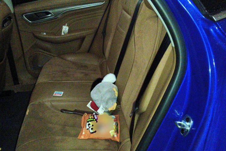 Used Roewe MARVEL X 2018 Rear-Drive Model Left Rear Seat