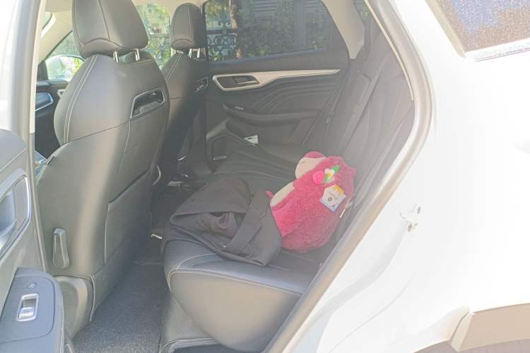 Used Roewe MARVEL X 2018 Rear-Drive Model Left Rear Seat