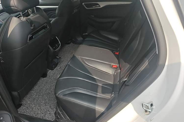 Used Roewe MARVEL X 2018 Rear-Drive Model Left Rear Seat