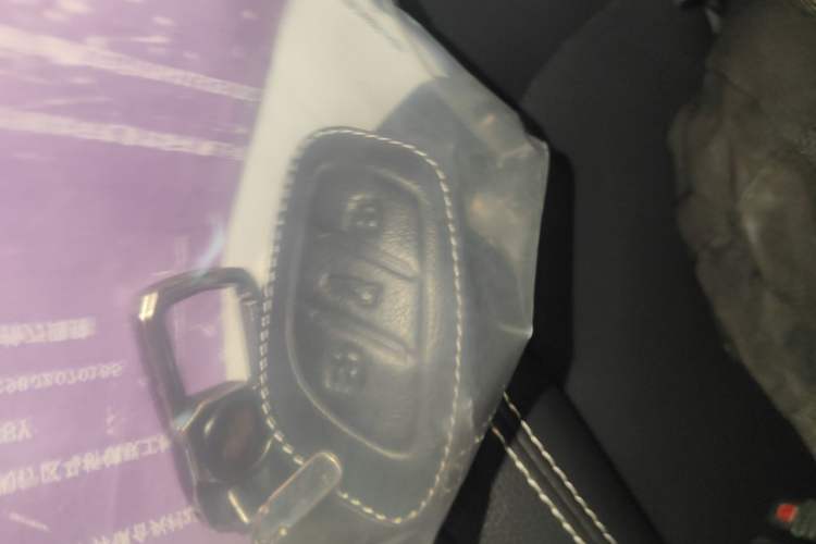 Used Roewe RX3 2018 18T Automatic Flagship Model Vehicle Key