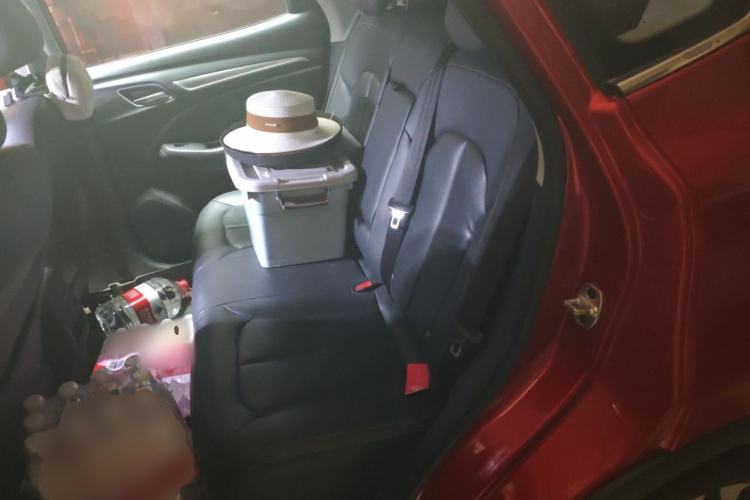 Used Roewe RX3 2018 1.6L CVT Flagship Edition Left Rear Seat