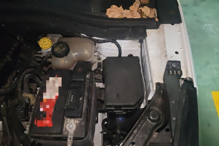 Used Roewe RX3 2018 1.6L CVT Internet Smart Edition Engine Bay Left