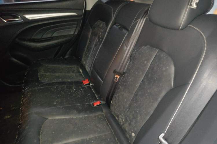 Used Roewe RX3 2018 1.6L CVT Internet Smart Edition Left Rear Seat
