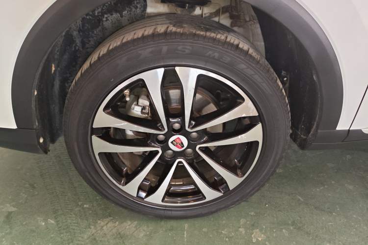 Used Roewe RX3 2020 1.6L Manual 4G Connect Super-Fresh Elite Edition Exterior 4