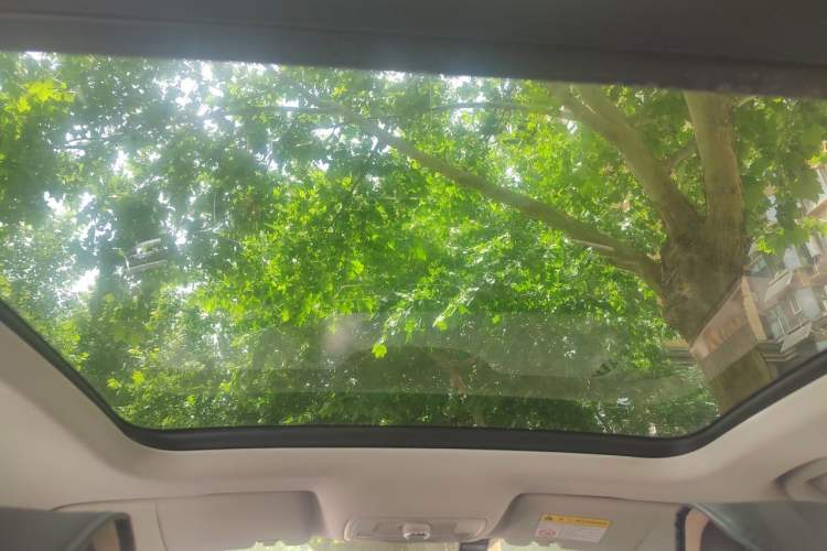 Used Roewe RX3 2020 1.6L CVT 4G Connected Ultra-Fun Elite Edition Headliner
